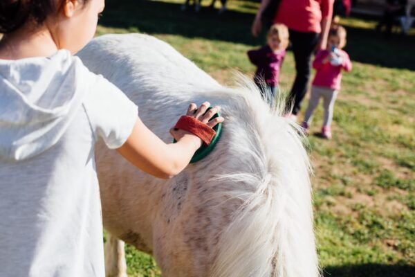 Grosseto: Visit the Family Farm With Tasting of Local Food - Customer Reviews