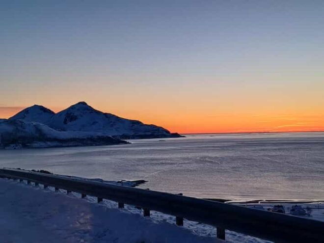 Grøtfjord, Tromsø. Unique Arctic Scenic Route. - Exploring Arctic Flora and Fauna