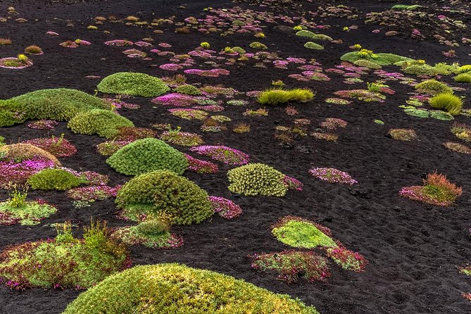 Grotta Serracozzo and Valle Del Bove - Inclusions Provided