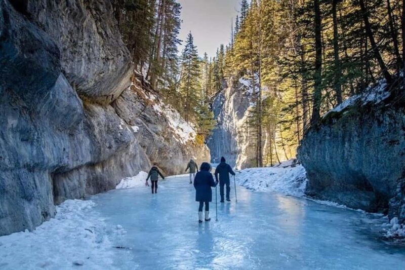 Grotto Canyon Ice Walk with Indigenous Pictographs - Overview of the Grotto Canyon Ice Walk Experience