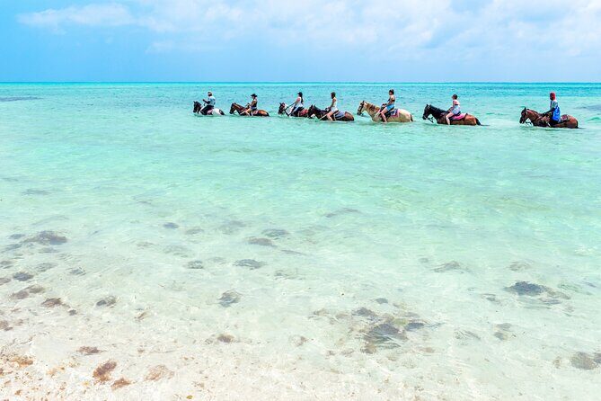 Group Beach and Ocean Horseback Adventure in Providenciales - An Overview of the Tour
