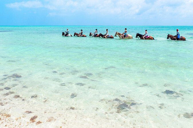Group Beach and Ocean Horseback Adventure in Providenciales - The Experience in Context: What Travelers Say