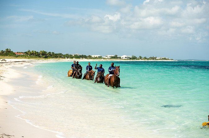 Group Beach and Ocean Horseback Adventure in Providenciales - Practical Tips for Your Booking