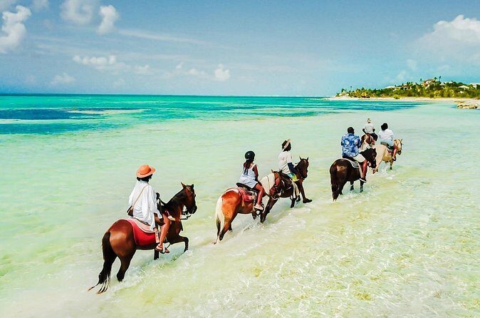 Group Beach and Ocean Horseback Adventure in Providenciales - Final Thoughts