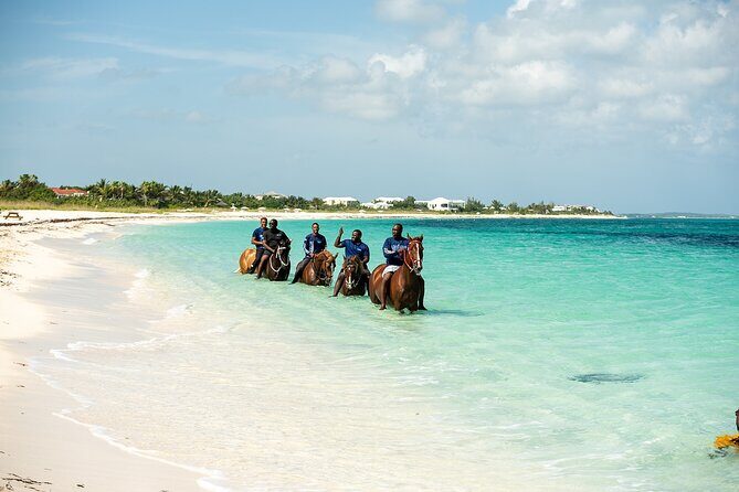Group Beach and Ocean Horseback Adventure in Providenciales - Frequently Asked Questions