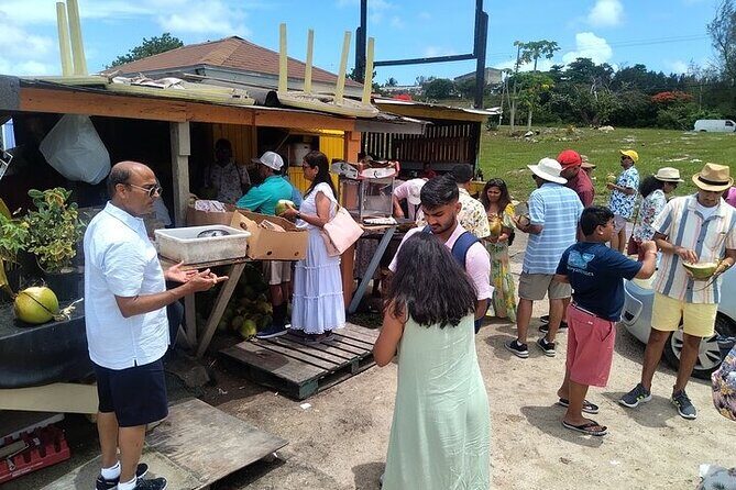 Group City Tour and Beach Experience from Cruise Port - The Breakdown: What to Expect from the Nassau City & Beach Tour