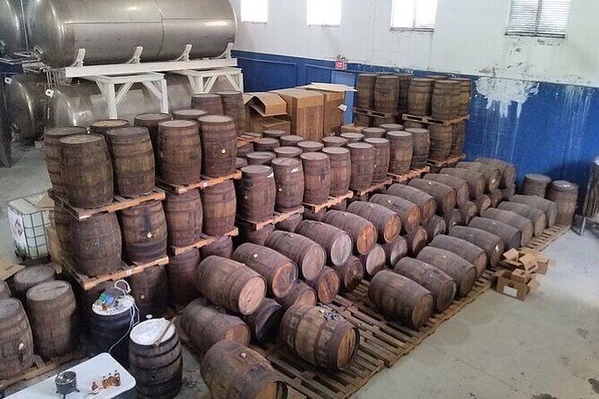 Group City Tour and Beach Experience from Cruise Port - Frequently Asked Questions