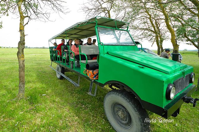 GROUP Guided Day Trip to the Danube Delta, Tulcea - Letea - Itinerary Highlights