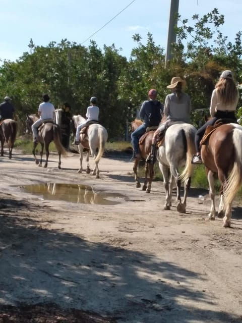 Group Horseback Ride on Holbox Island, Quintana Roo - Good To Know