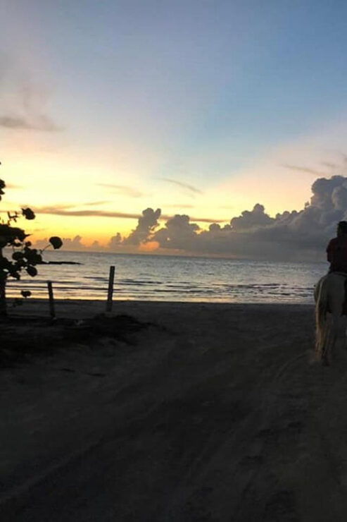 Group Horseback Ride on Holbox Island, Quintana Roo - Pricing and Reservations