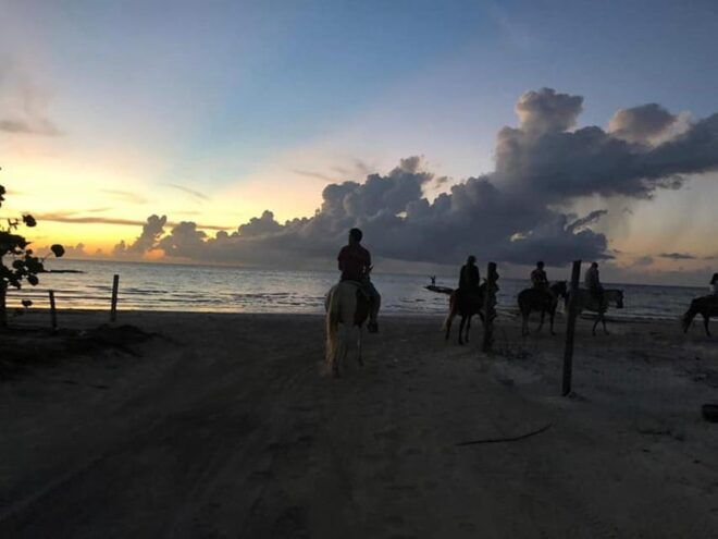 Group Horseback Ride on Holbox Island, Quintana Roo - Group Size and Age Policy