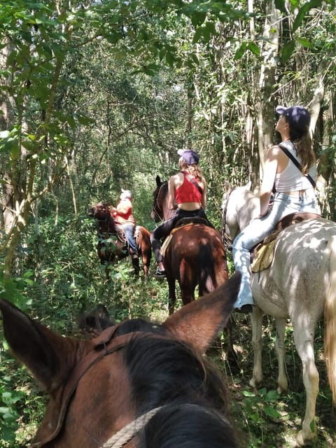 Group Horseback Ride on Holbox Island, Quintana Roo - Explore Mangroves and Beach