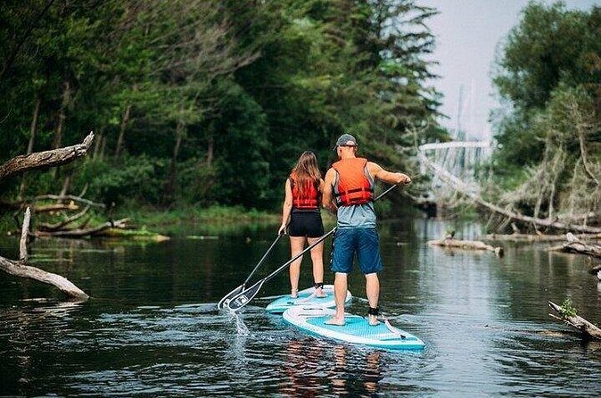 Group Intro to SUP in Toronto Island, Canada - The Sum Up