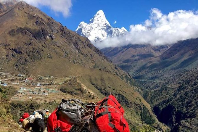 Group Joining Everest Base Camp Trekking With Fixed Departure - Inclusions and Accommodations