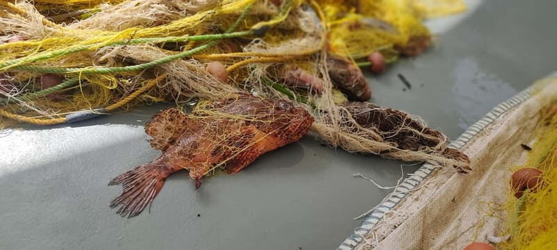 Group Morning Tour to Polyaigos - Practical Details: Price, Duration, and What You Need to Know