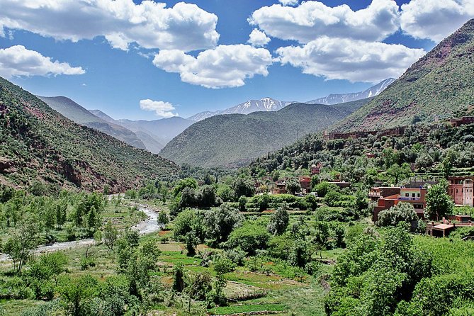 Group Shared Day Tour to Ourika Valley & Atlas Mountains - Reviews and Testimonials