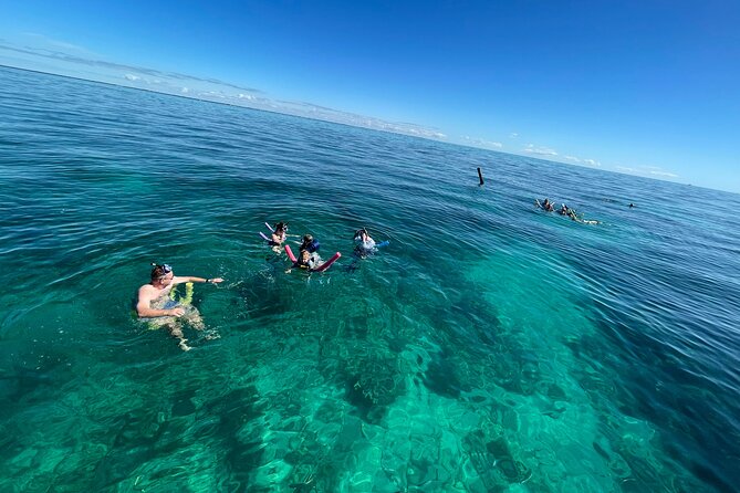 Group Snorkel & Sandbar From Hawks Cay - Activity Details