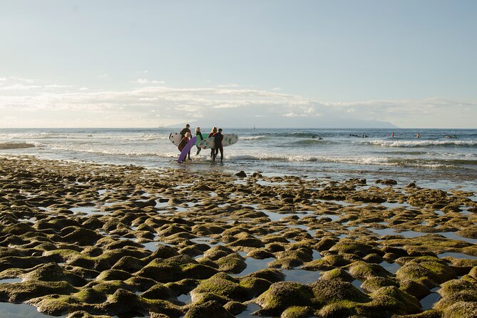 Group Surf Lesson in Playa De Las Americas - Theory, Safety Tips, and Practical Skills
