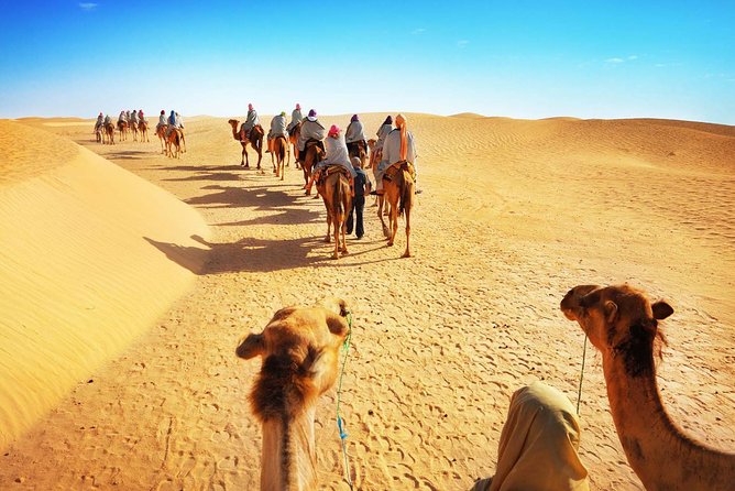 GROUP TOUR , 1 Night 2 Day Desert TRIP From FES to FES - Additional Info