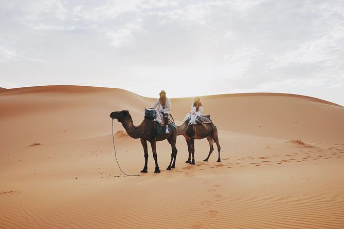 GROUP TOUR , 1 Night 2 Day Desert TRIP From FES to FES - Price and Booking
