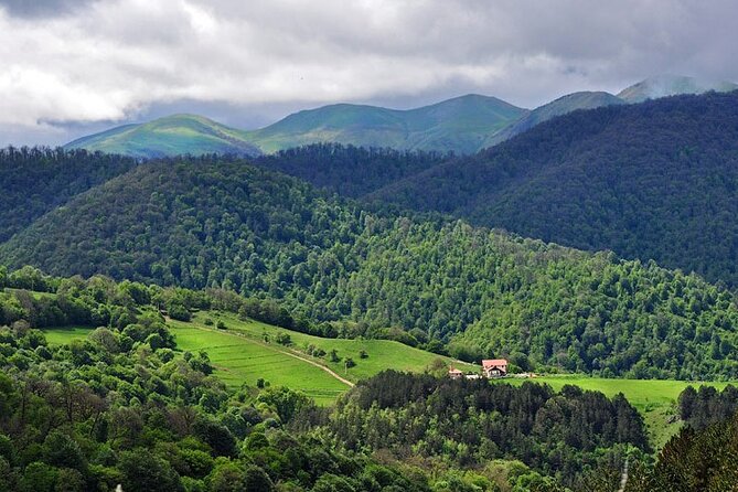 Group Tour : Blue Sevan, Evergreen Dilijan - Reviews
