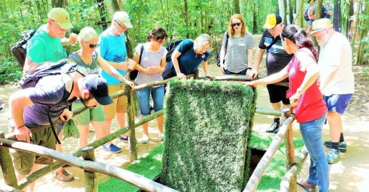 GROUP TOUR CU CHI TUNNEL HALF DAY_ MORNING - Good To Know
