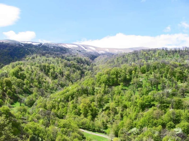 Group Tour: Dilijan, Parz Lake, Makaravank, wine factory - Final Thoughts  