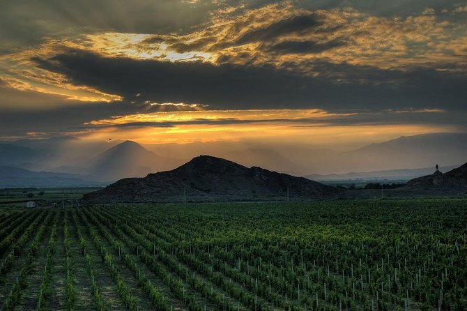 Group Tour: Khor Virap, Noravank, Hin Areni Wine Tour & Tasting, Birds-Cave - Customer Reviews