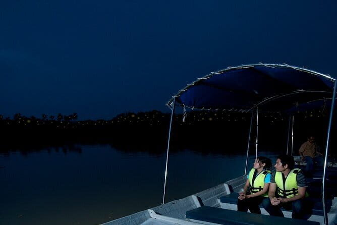 Group Tour: Kuala Selangor Firefly Blinking's including Dinner - Who Will Love This Experience?