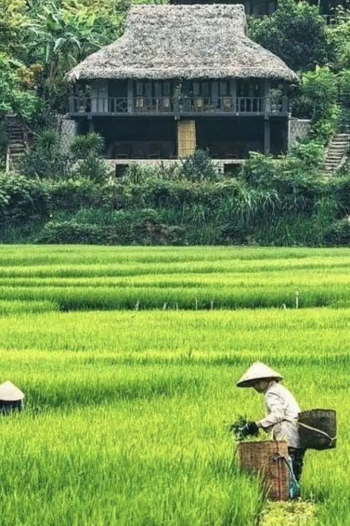 Group Tour: Mai Chau Full Day Trip From Hanoi - Tour Overview and Pricing