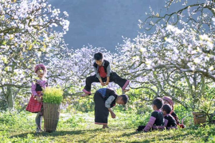 Group Tour: Mai Chau Full Day Trip From Hanoi - Transportation and Logistics