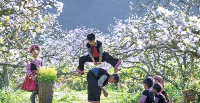 Group Tour: Mai Chau Full Day Trip From Hanoi - Included Features