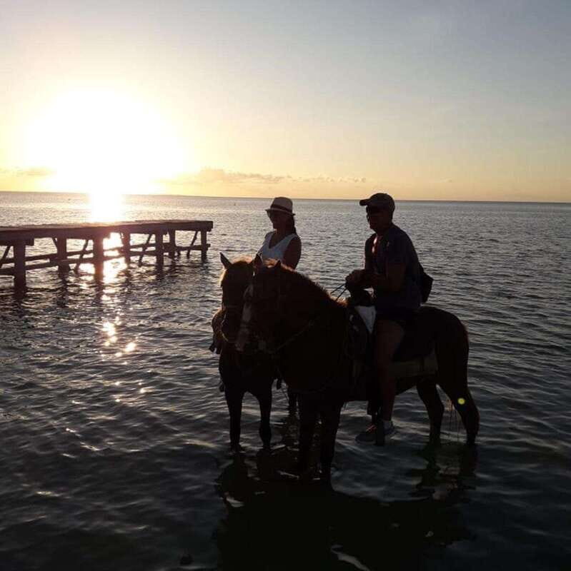 Group Tour of Holbox Island, Quintana Roo - An Overview of the Horseback Riding Experience in Punta Siricote