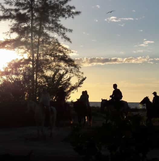 Group Tour of Holbox Island, Quintana Roo - Experience Highlights