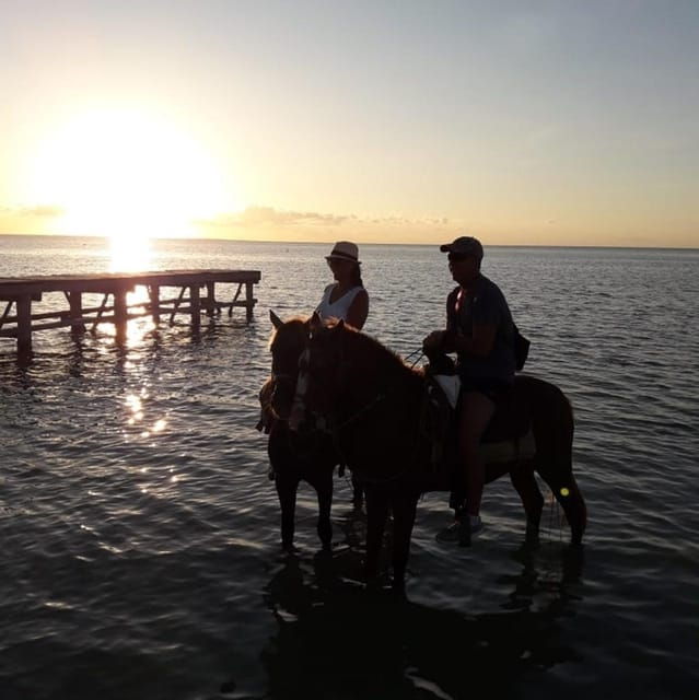 Group Tour of Holbox Island, Quintana Roo - Booking Information