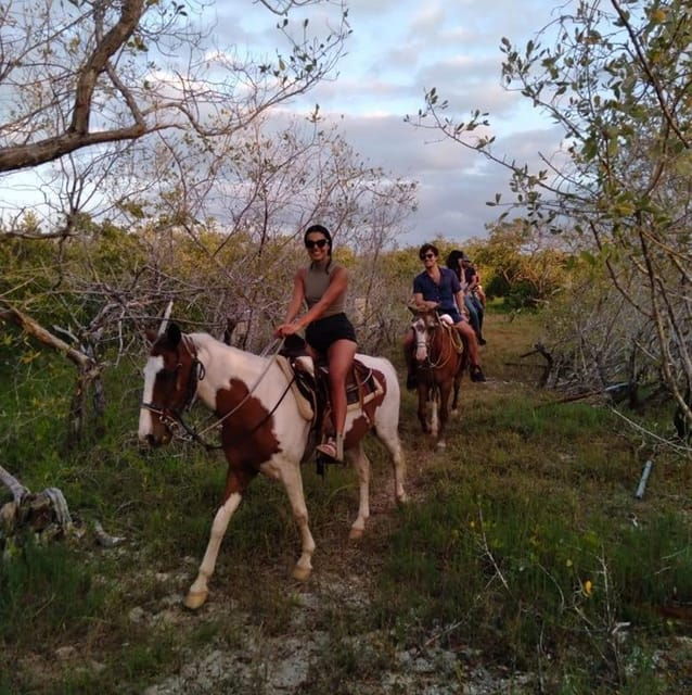 Group Tour of Holbox Island, Quintana Roo - Horse Riding Details