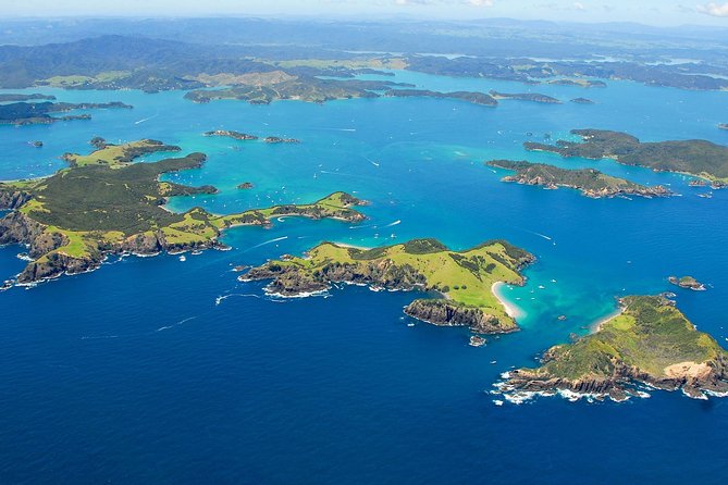 Group Tour to Bay of Islands Return From Auckland - Highlights of the Tour