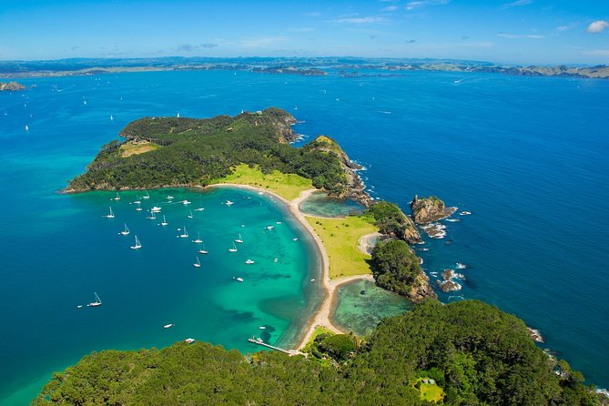 Group Tour to Bay of Islands Return From Auckland - Why Choose This Group Tour