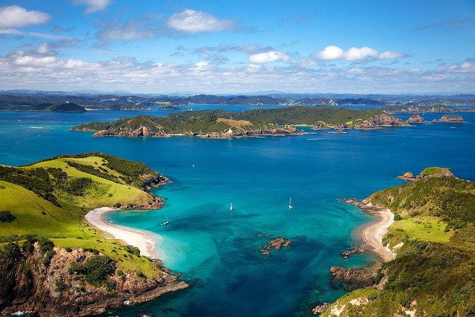 Group Tour to Bay of Islands Return From Auckland - Hotel Collection and Drop-off