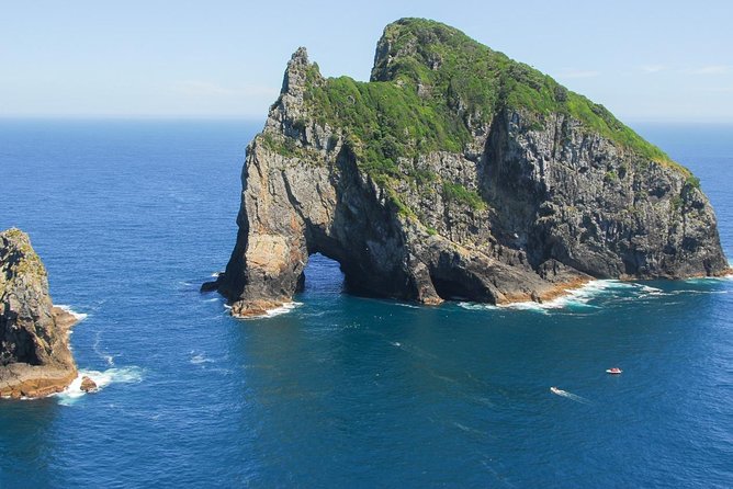 Group Tour to Bay of Islands Return From Auckland - Common Questions
