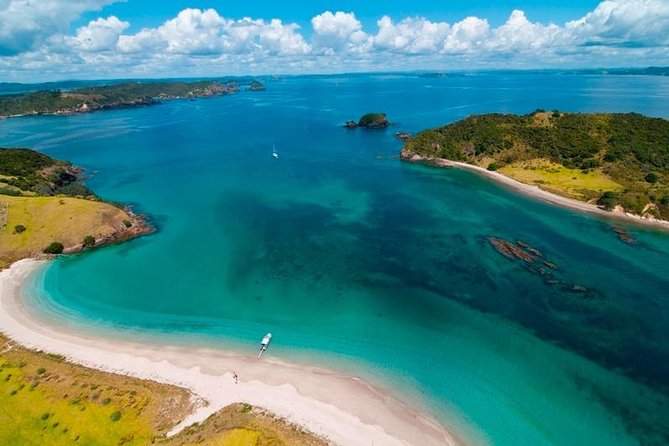 Group Tour to Bay of Islands Return From Auckland - Pricing and Booking Details