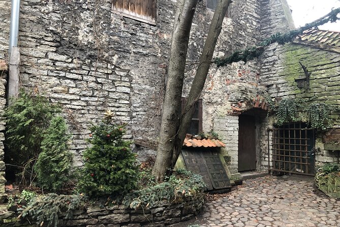 Group Walking Tour in Tallinn Old Town - Customer Feedback