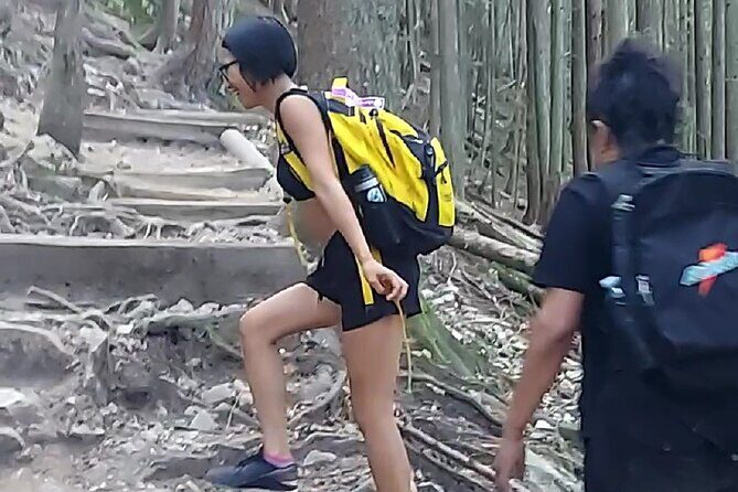 Grouse Hike and Capilano Bridge - Who Should Consider This Tour?