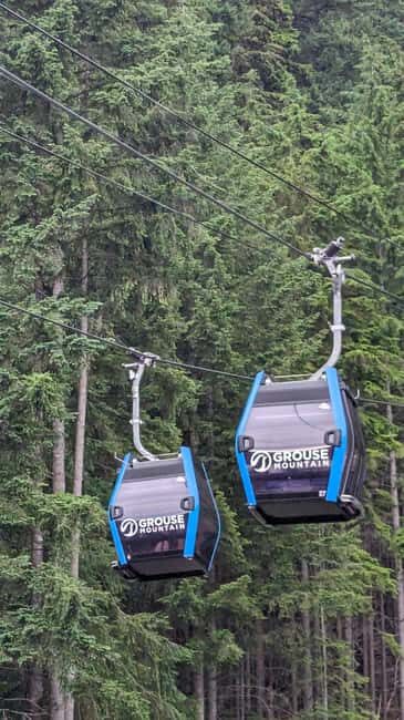 Grouse Mnt+StanleyPark+Hatchery+Cleveland Dam+LynnCanyonTOUR - Final Thoughts: Who Will Love This Tour?