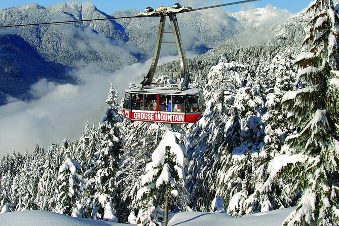 Grouse Mountain Admission Ticket - Summer Activities and Attractions