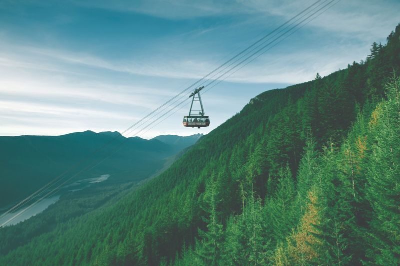 Grouse Mountain and Capilano Suspension Bridge Park Tour - How the pace and transport affect the day