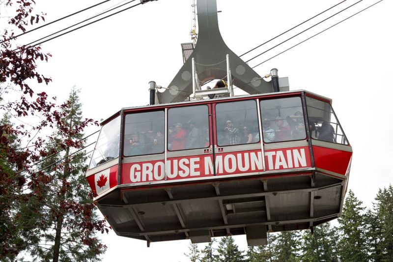 Grouse Mountain and Capilano Suspension Bridge Park Tour - Who should book this North Shore tour?
