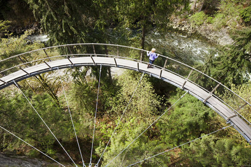 Grouse Mountain and Capilano Suspension Bridge Park Tour - Should you book it?