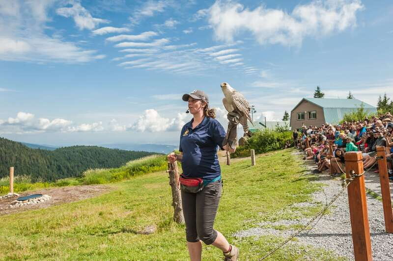 Grouse Mountain, Capilano Bridge & Fish Hatchery Tour - Who Will Love This Tour?