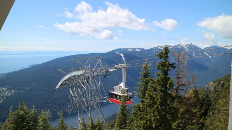 Grouse Mountain & Capilano Suspension Bridge Park Adventure - Highlights
